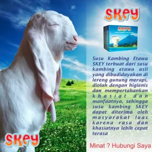 Jual Susu Kambing Etawa Terdekat di Bogor Kota